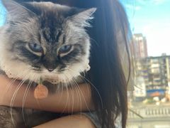 -怪兽屋·羊驼·猫咖·狗咖(俊华广场店)