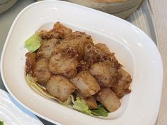 xo酱萝卜糕-春满园·早茶·粤菜·宴会(前海店)