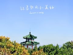 -北京西山国家森林公园