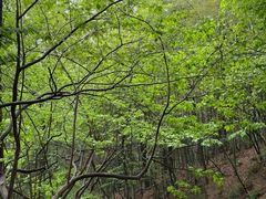 -敬亭山风景名胜区