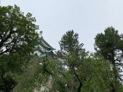 -名古屋城