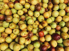 -红星农博物流中心