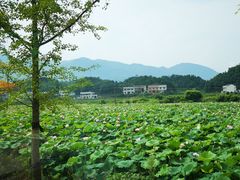 -周洛大峡谷