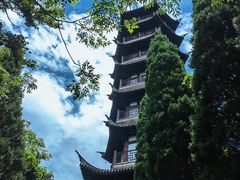 -黄贤森林公园