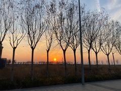 -天津妈祖文化园