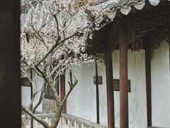 -沧浪亭