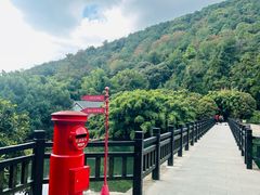 -九龙潭景区