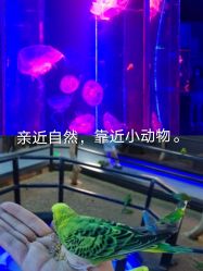 -未来动物城动物主题公园(大悦城店)