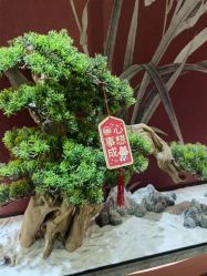 点击看大图 -雅曼妮spa美容养生