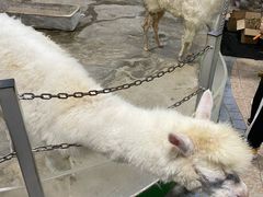 -上海大自然野生昆虫馆(东方明珠·爬宠昆虫探索中心)