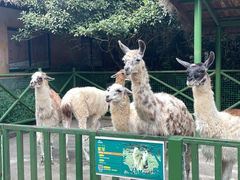 -杭州野生动物世界