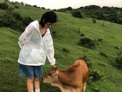 -大姆山草场