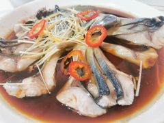 -煲来饱去冷水鱼