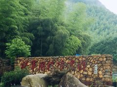 -将军关探险漂流