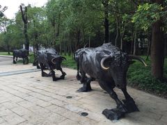 iphone_upload_pic-深圳华侨城洲际大酒店