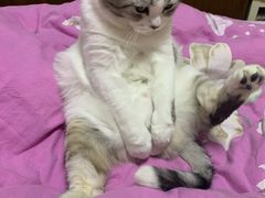 -北京恒爱动物医院(清景园分院)