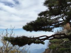 -泰山风景名胜区
