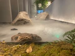 -沅江水·湖南家宴(南村万博长隆商圈店)