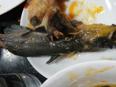 -蜀九香火锅(九眼桥店)
