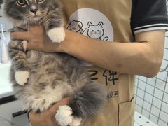 -宁波鄞州万达广场