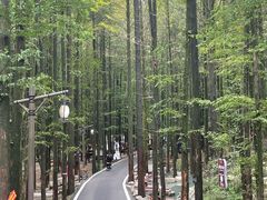 -山王坪喀斯特国家生态公园
