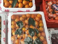 -西郊国际农产品交易中心