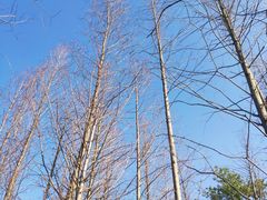 -牛岗山公园