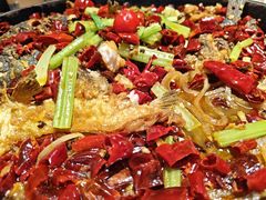 -老板恋上鱼(恒隆广场店)