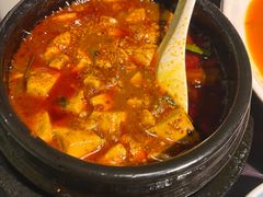 -陈麻婆豆腐总店