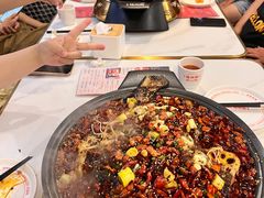 经典香辣烤鱼-锦尚阁烤鱼(望京新荟城店)