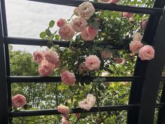 -上海交通大学(闵行校区)