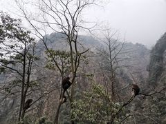 -九峰山