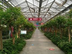 -南宫五洲植物乐园
