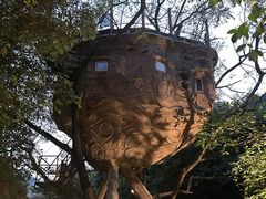 -天门沟九州驿站树上汤泉