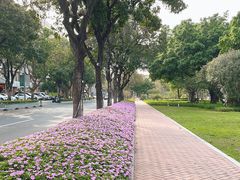 -二沙岛艺术公园
