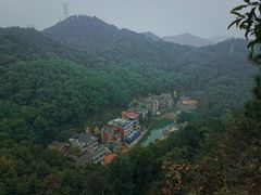 -南山植物园