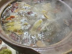 -威邵鸡煲(西华路总店)