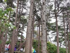 -黄山光明顶山庄