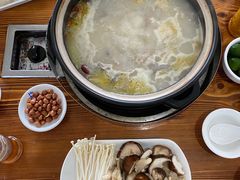 -15年老字号鑫鑫猪肚鸡·椰子鸡海南火锅(兴隆华侨农场店)