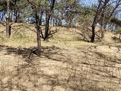 -元大都城垣遗址公园