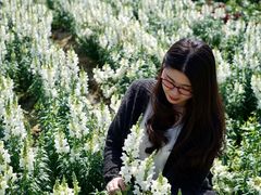 -广东花都香草世界旅游度假区