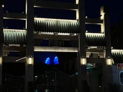 -溪岸路花鸟市场