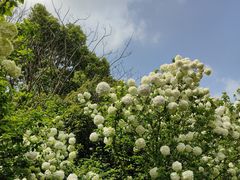 -杭州城北体育公园