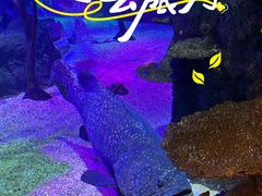 -沈阳海洋探索中心