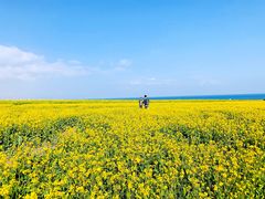 -青海湖国家重点风景名胜区