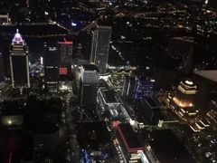 -顶鲜101美食美景餐厅