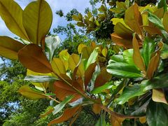 -青岛海尔洲际酒店