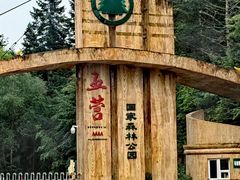 -五营红松林海景区