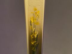 -丽思卡尔顿酒店泳池(金融街店)