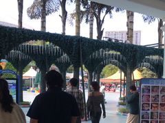 -海合安成都极地海洋公园